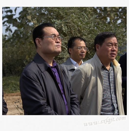 2011101013171934507 js1996(中国)有限公司官网
